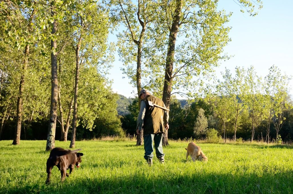 trufas en Istria – propuesta gourmet de Kempinski Hotels